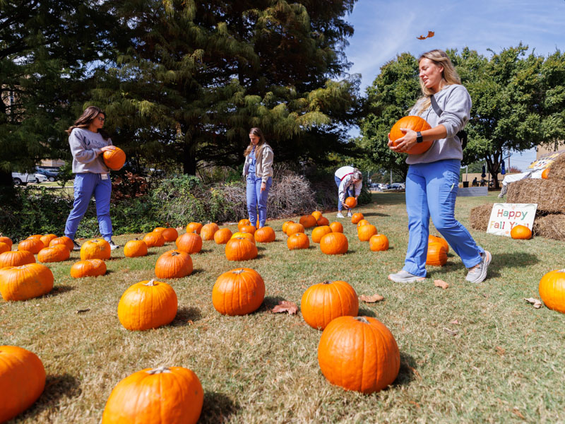 School of Dentistry students, from right, Sara Gideon, Anna Shaw, Emily Barnes, and Maegan Daneault choose pumpkins at the ASB patch.